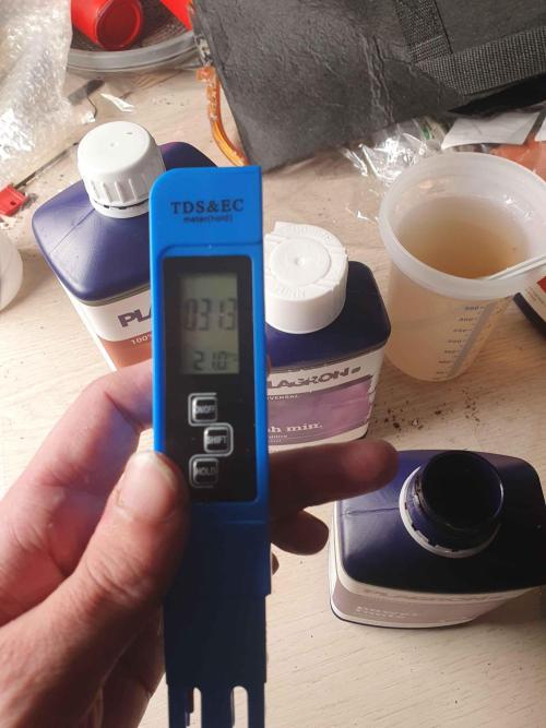 Apple Fritter/Shogun (2nd Tent grow). Week 0 - Used RO water and got it up to 313 PPM