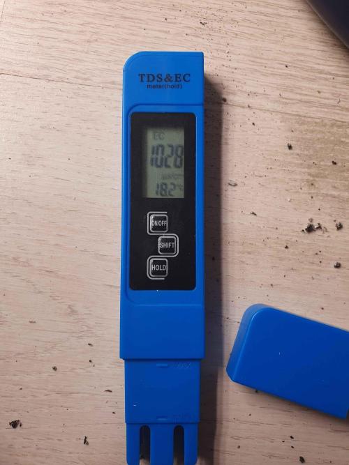 Apple Fritter/Shogun (2nd Tent grow). Week 2 - 17-1