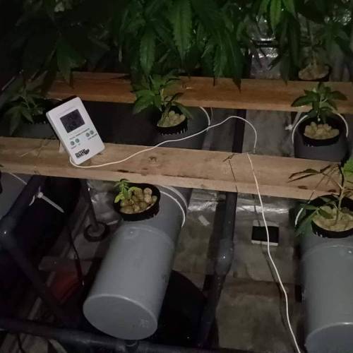 NFT power