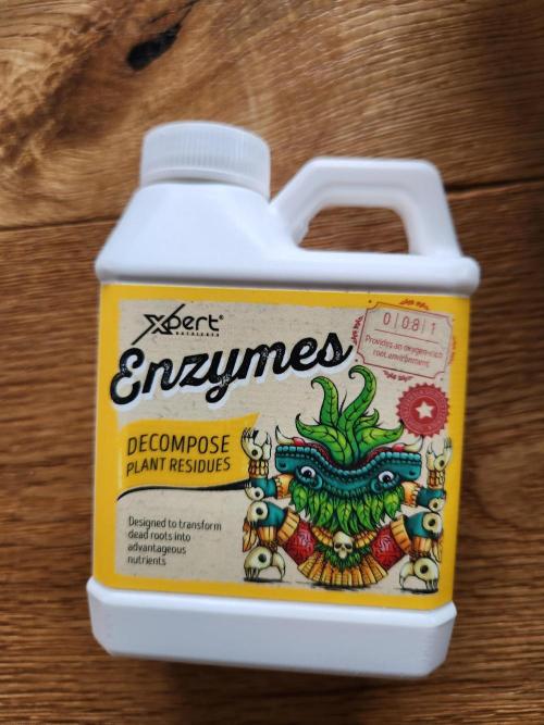 Cream Caramel. Week 11