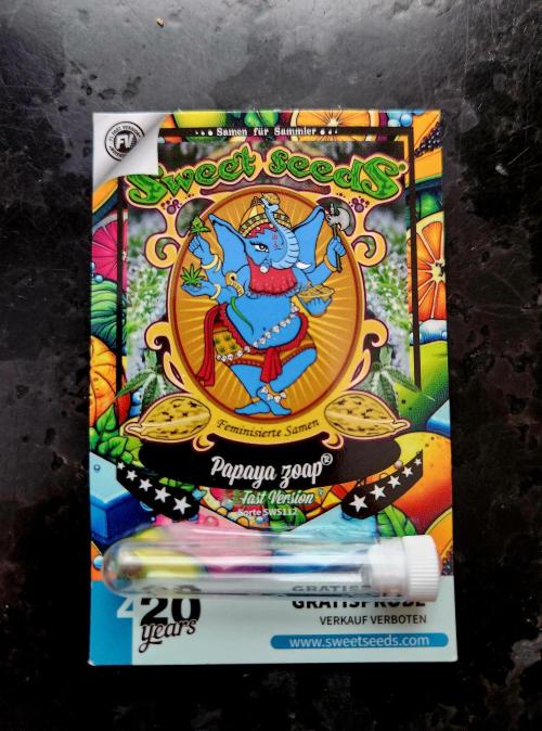 Fruits for summer I. Week 0