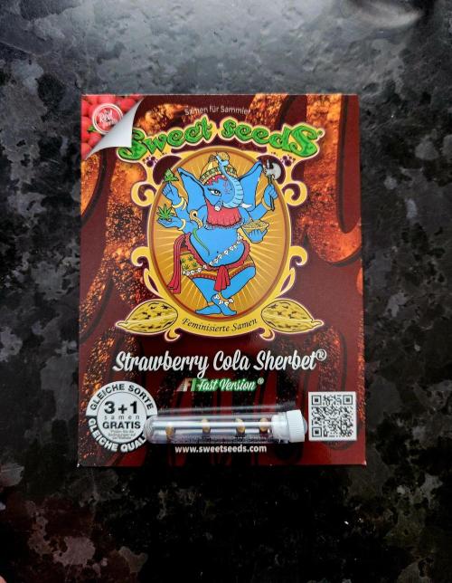 Fruits for summer II. Week 0