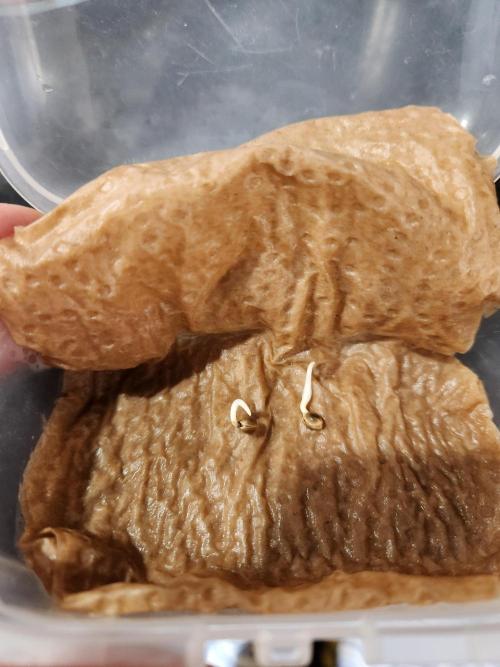 Fruits for summer II. Week 0