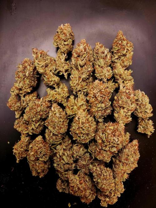 Cream Caramel. Week 17