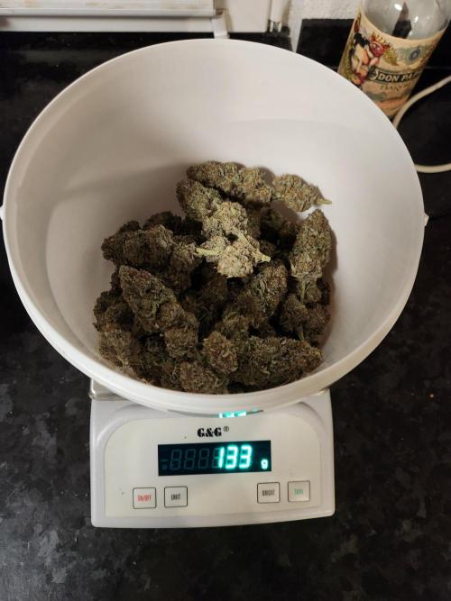 Cherry High. Week 17