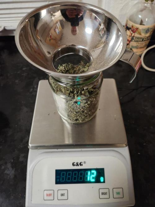 Cherry High. Week 17