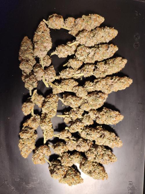 Cherry High. Week 17