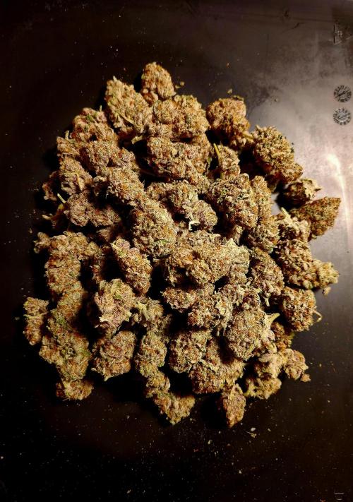 Cherry High. Week 17