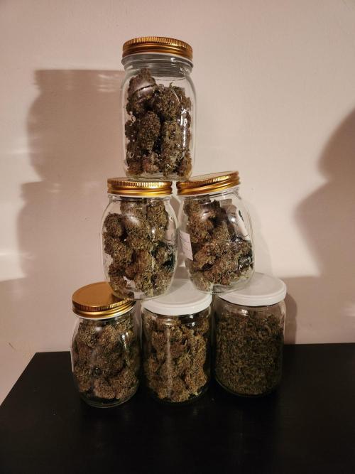 Cherry High. Week 17