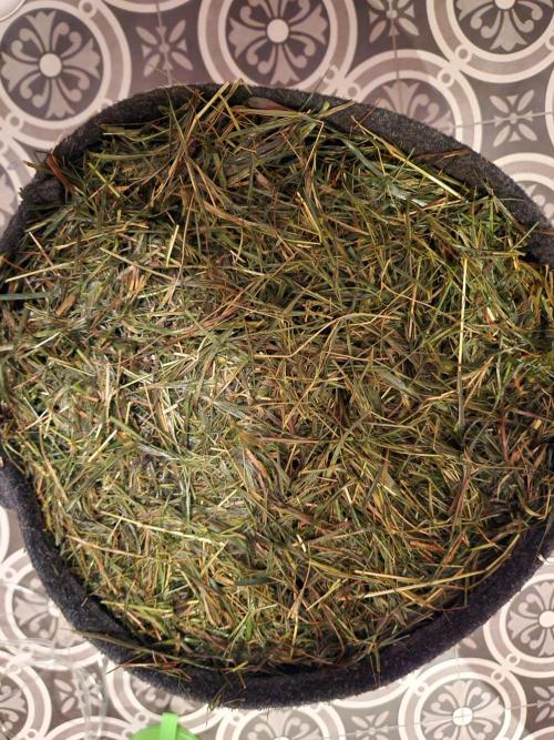 Fruits for summer II. Week 1