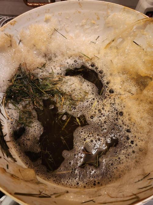 Fruits for summer I. Week 1