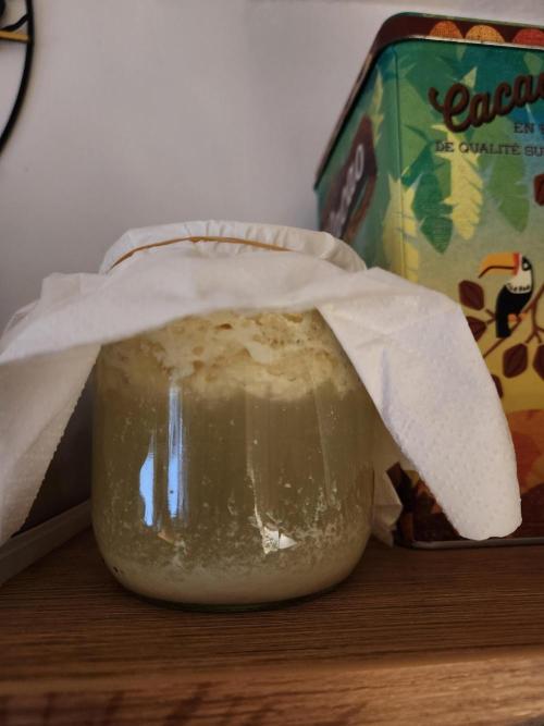 Fruits for summer II. Week 3