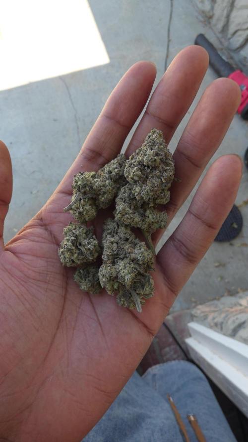 Ethos - Grandpa Cookies #6 S1