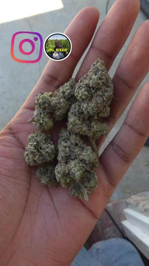 Ethos - Grandpa Cookies #6 S1