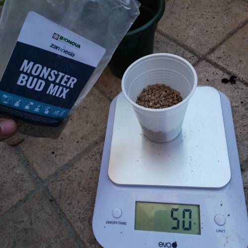 Two Runtz/Zamnesia Cup. . Week 1 - STEP 2. 