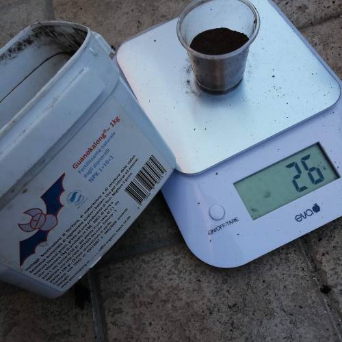 Two Runtz/Zamnesia Cup. . Week 1 - STEP 3. 