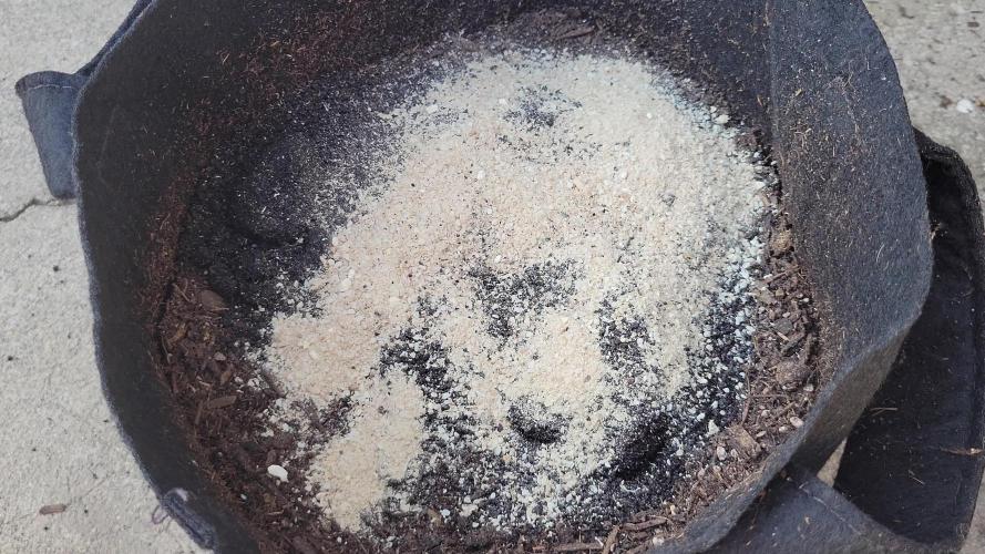 Grandpa's Cookies #6 x End Game #3