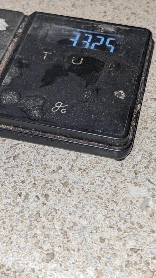 Blueberry Ghost Og Auto. Week 13