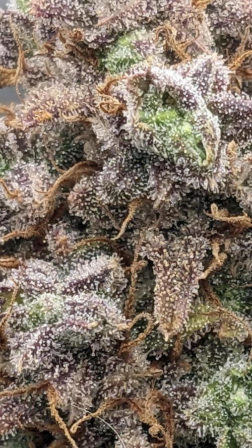 Strawberry Banana Auto. Week 14