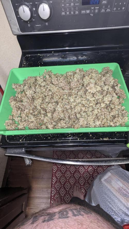 Strawberry Banana Auto. Week 14