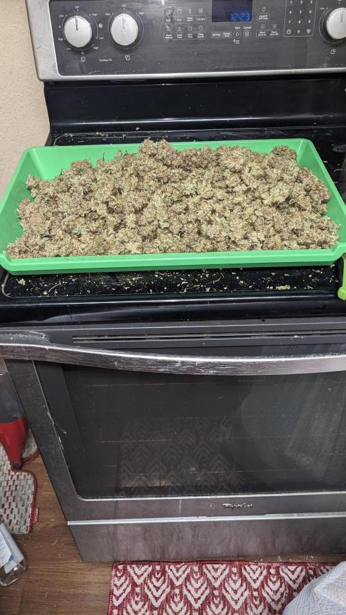 Strawberry Banana Auto. Week 14