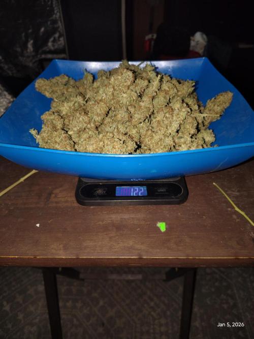 dutch passion. Week 18