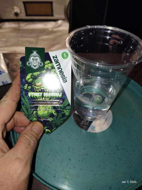 eternity grow cup 2026. Week 0