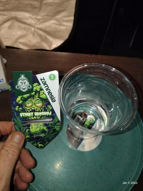 eternity grow cup 2026. Week 0