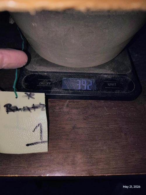 eternity grow cup 2026. Week 19