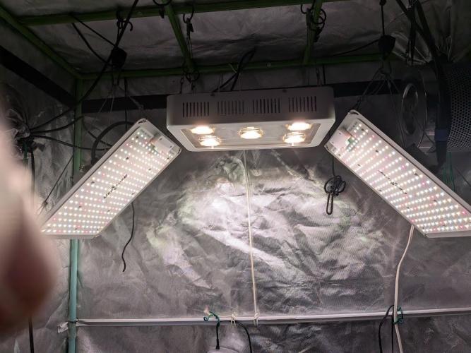 walter whitebh1. Week 3 - turning up the lights