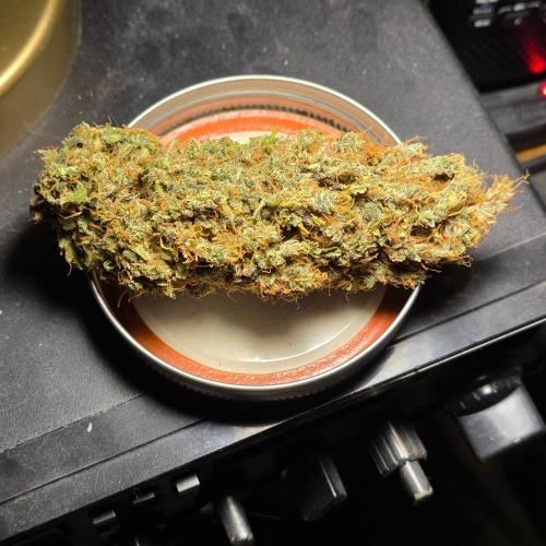 Major Toke Auto. Week 14