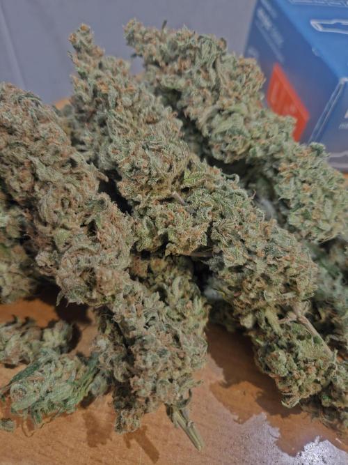 Mandarin Zkittlez Lemon. Week 16