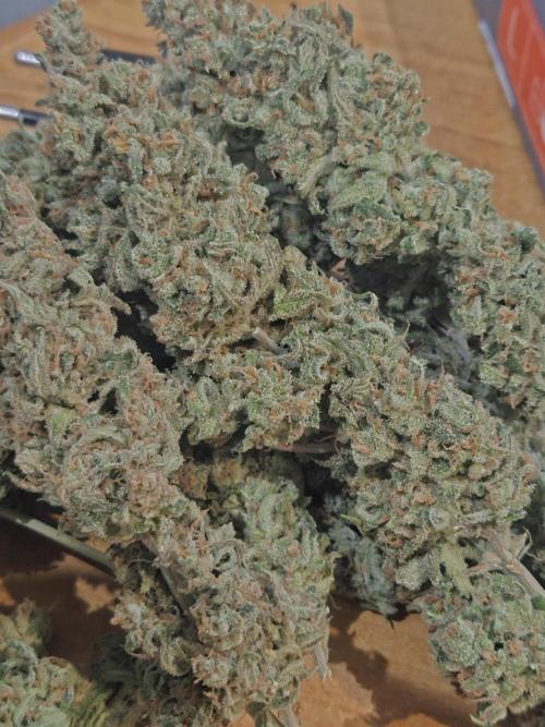 Mandarin Zkittlez Lemon. Week 16