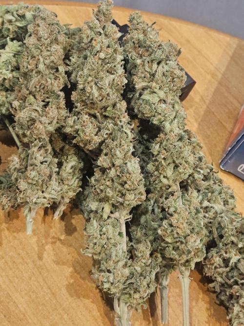 Mandarin Zkittlez Lemon. Week 16