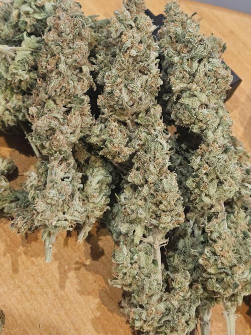 Mandarin Zkittlez Lemon. Week 16