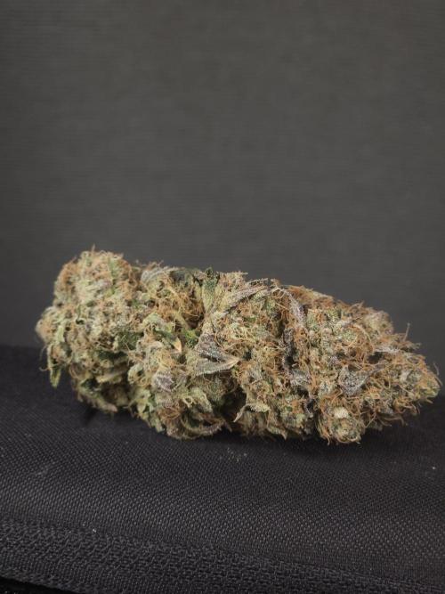 DOKI DOKI - Perfect Tree Seeds. Week 13