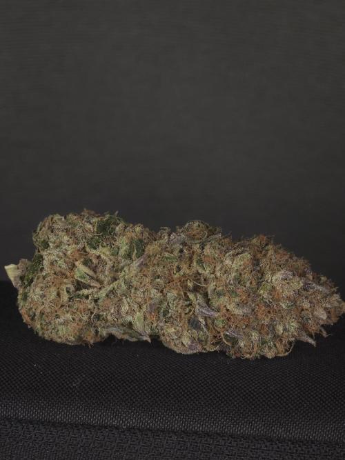 DOKI DOKI - Perfect Tree Seeds. Week 13