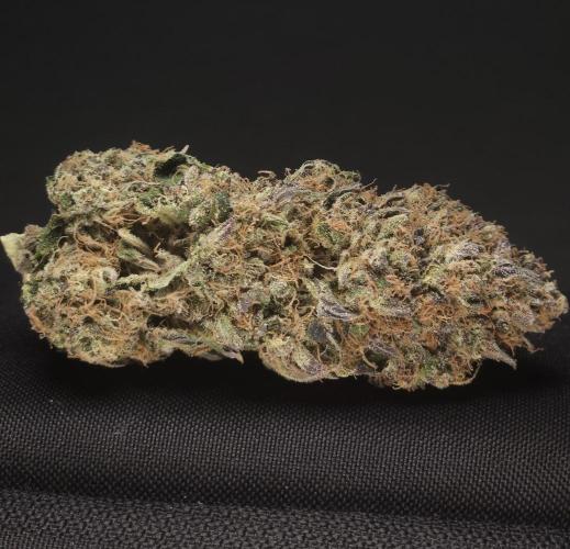 DOKI DOKI - Perfect Tree Seeds. Week 13