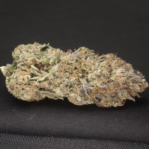 DOKI DOKI - Perfect Tree Seeds. Week 13