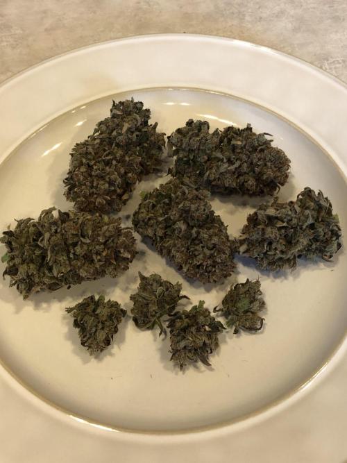 Frostbanger (a). Week 13 - d88 *final*