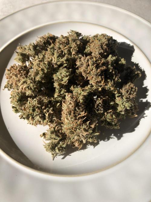 Z~Up (a). Week 13 - *final* harvest