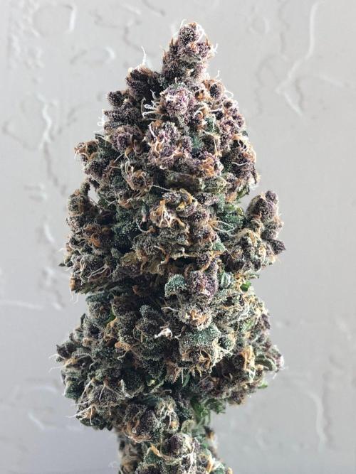 Purple Lemonade rf3 (a). Week 16 - d108 final rf3