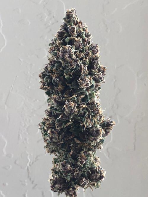 Strawberry Gorilla Auto RF3. Week 14