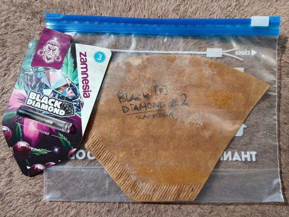 Black diamond [f]. Week 0 - Black Diamond [f] #2