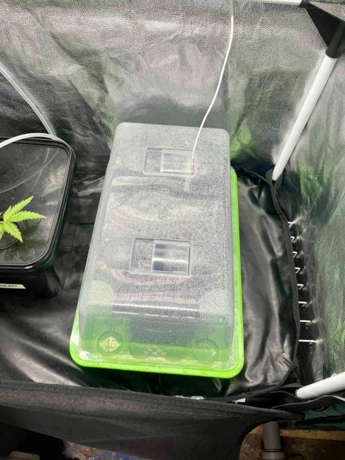 greenhouse26 /living soil. Week 0