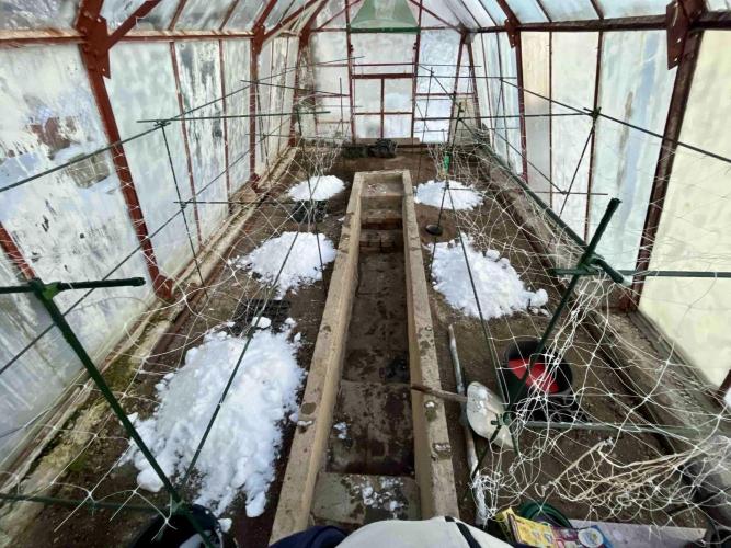 greenhouse26 /living soil. Week 0