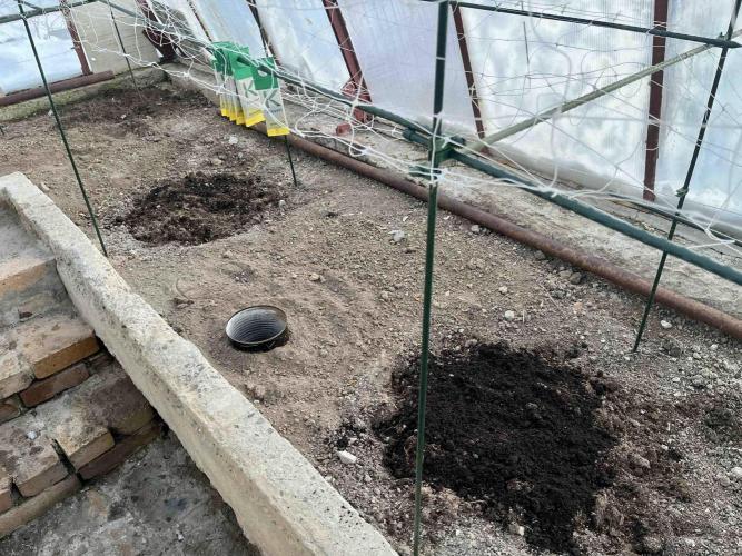 greenhouse26 /living soil. Week 0