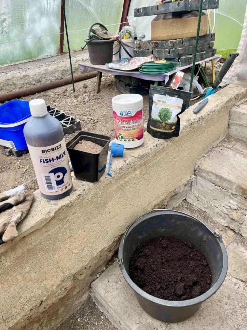greenhouse26. Week 1