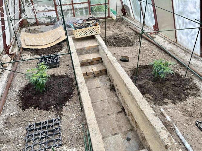 greenhouse26. Week 1