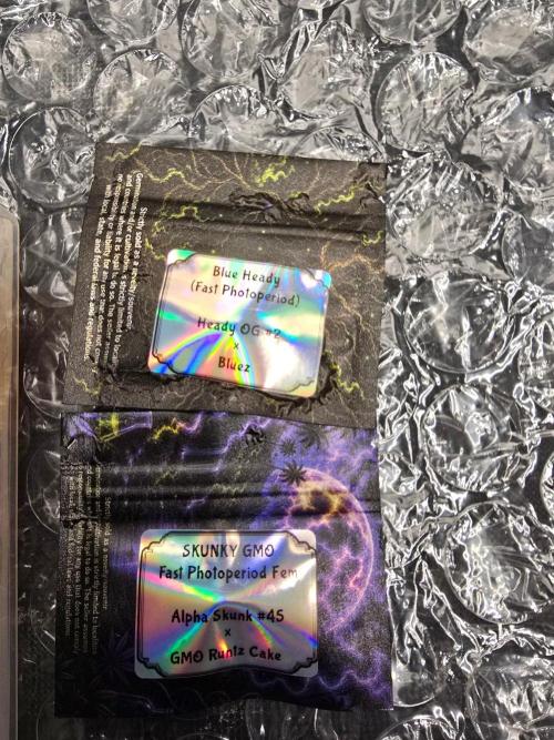 G.O.A.T Collaboration testers.. Week 0